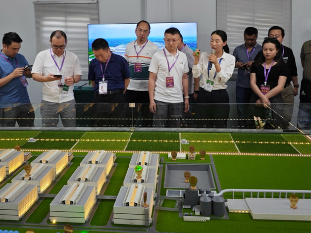 1734502487418100.png 1734502487418100.png