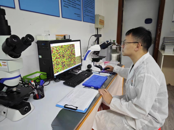 1734502509529804.png 1734502509529804.png