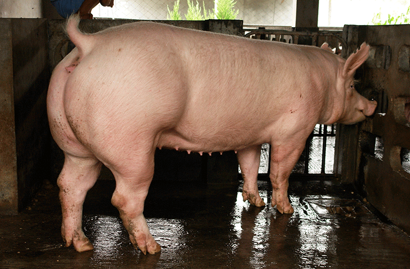 1631591399485967.gif 1631591399485967.gif