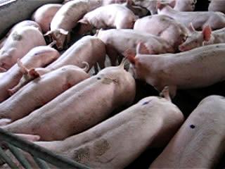 1631591638154298.jpg 1631591638154298.jpg