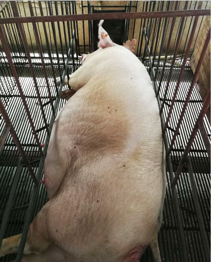 1631598729898758.png 微信截圖_20210914135052.png