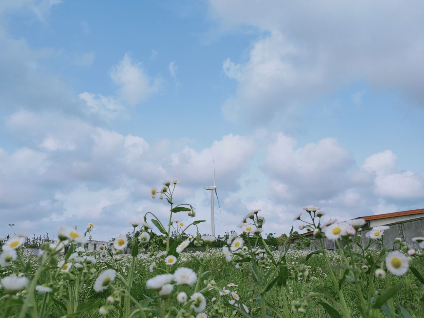 1631611194985183.jpg 1631611194985183.jpg