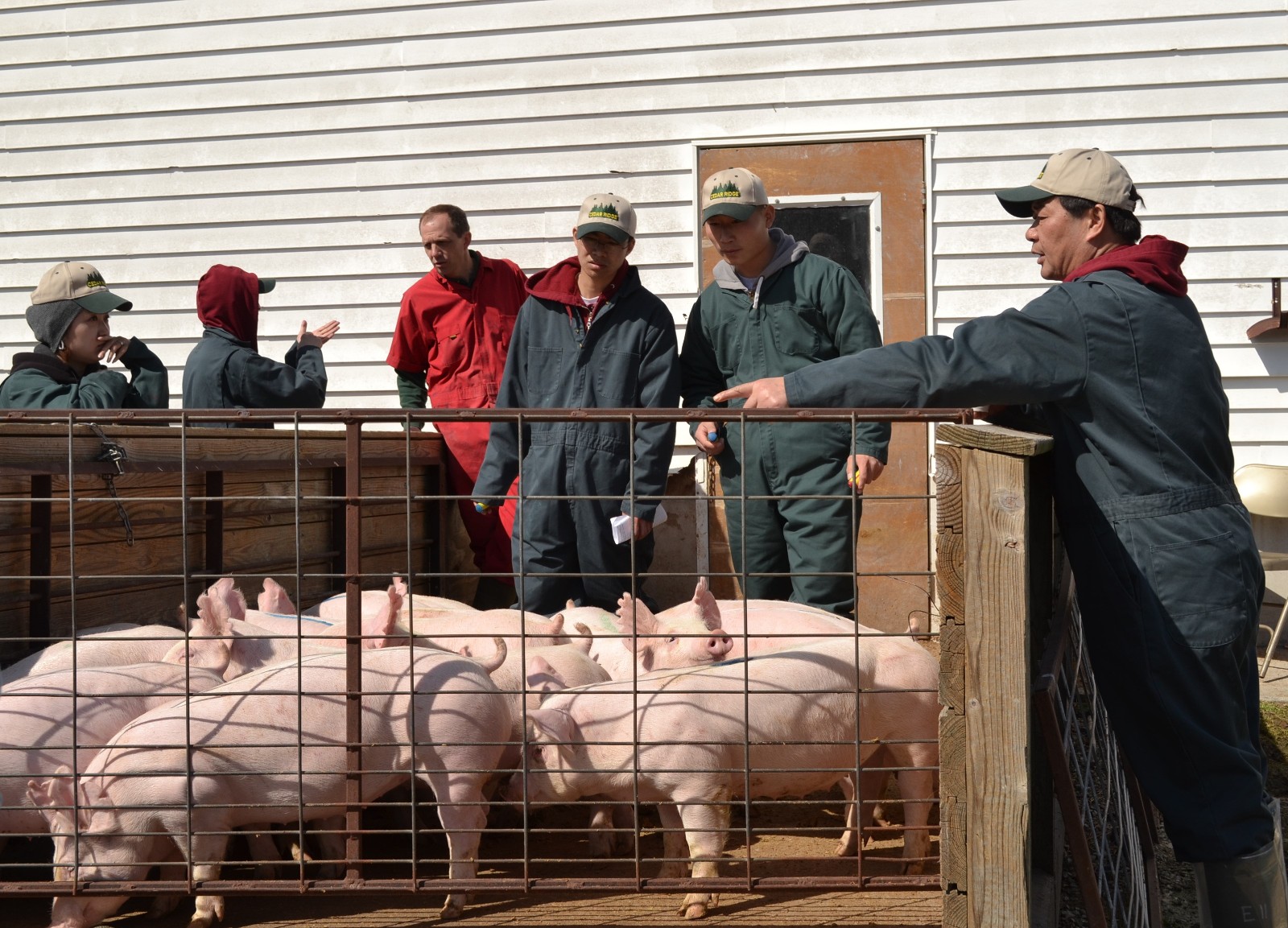 1631611273710019.jpg 1631611273710019.jpg