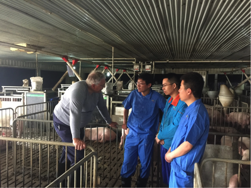 1631611275892300.png 1631611275892300.png