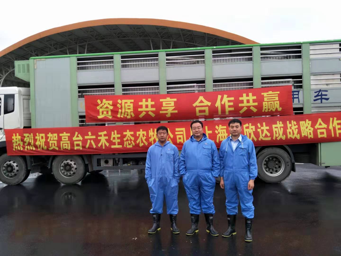 1631611320234244.jpg 1631611320234244.jpg