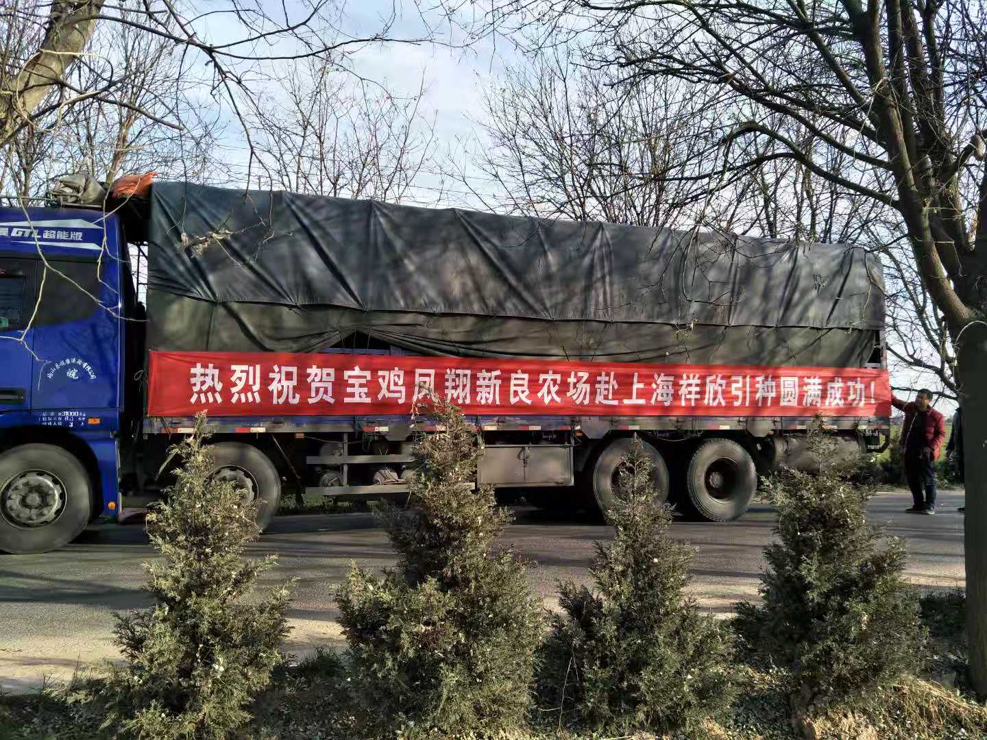 1631611321388677.jpg 1631611321388677.jpg