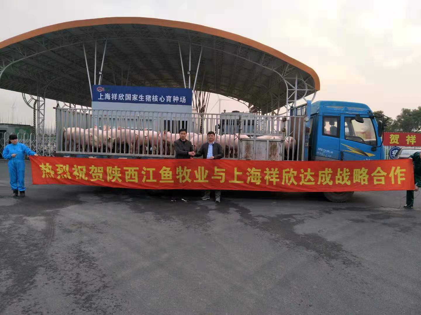 1631611321863143.jpg 1631611321863143.jpg