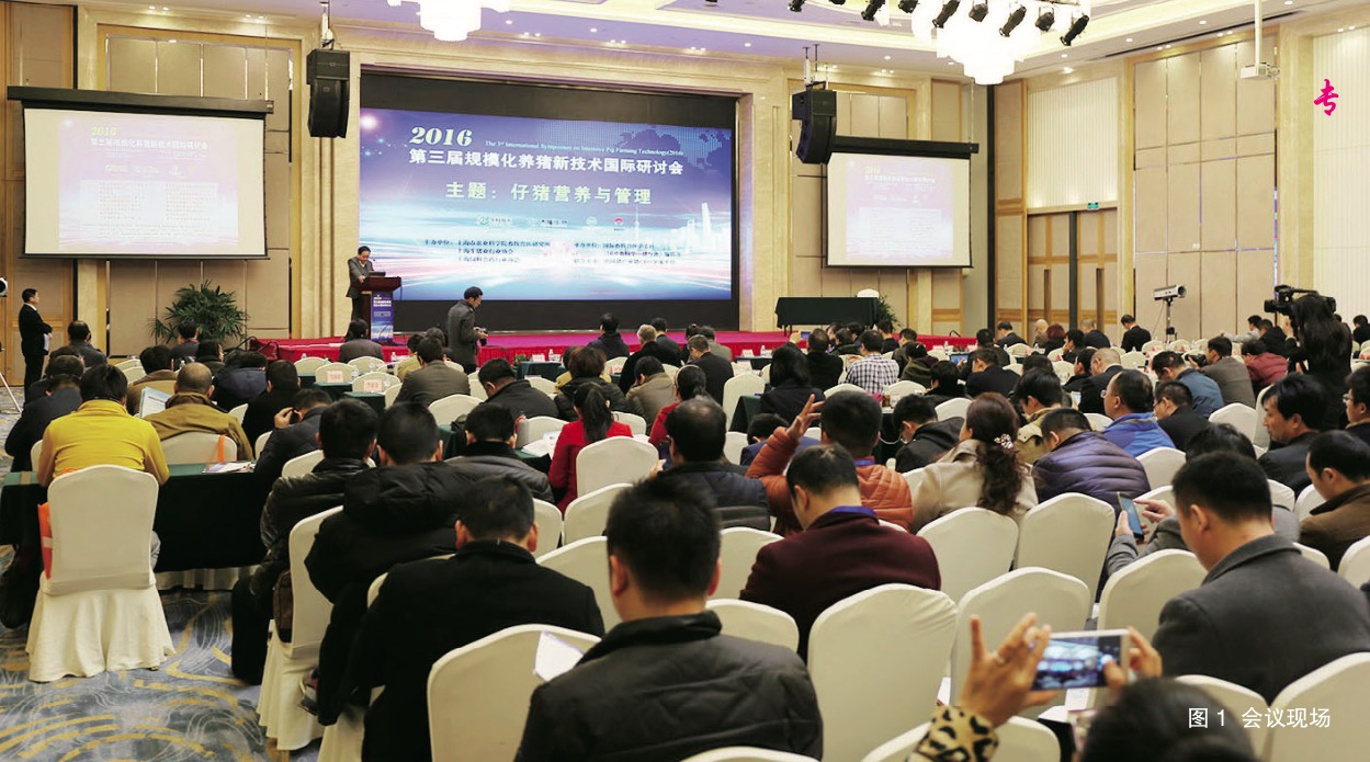 1631611403548307.jpg 1631611403548307.jpg