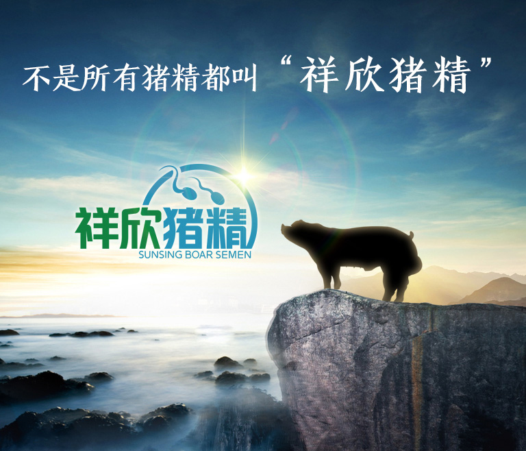 1632270861559106.png 800.png