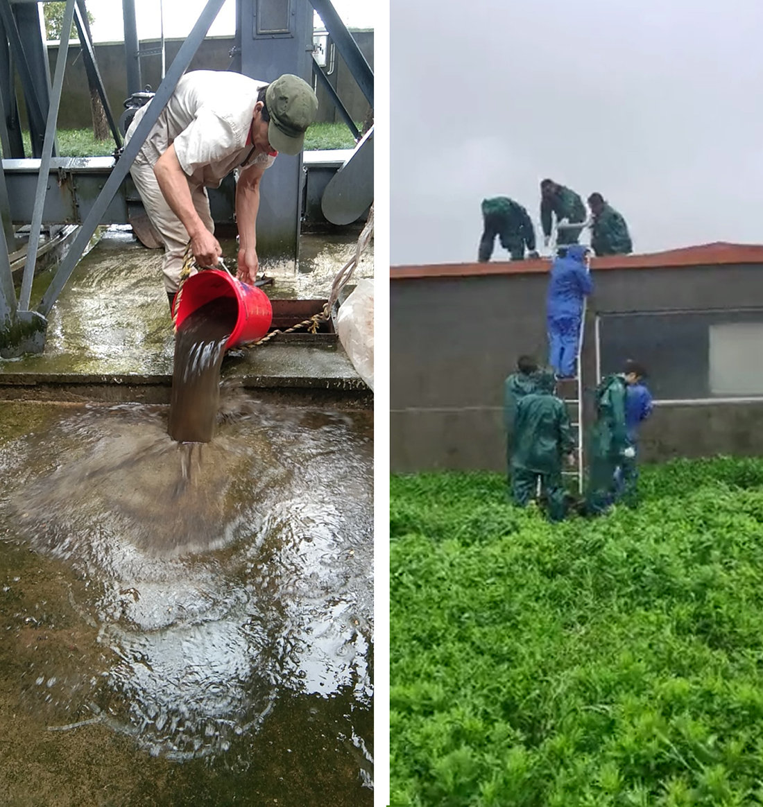 1632337473123942.jpg 1632337473123942.jpg