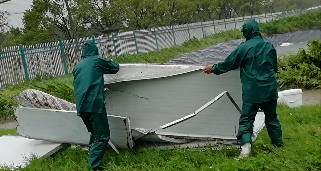 1632337498681828.png 1632337498681828.png