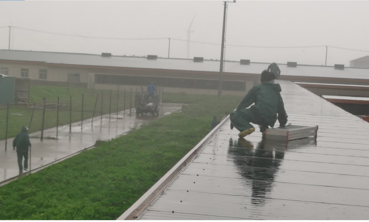 1632337530269907.png 1632337530269907.png