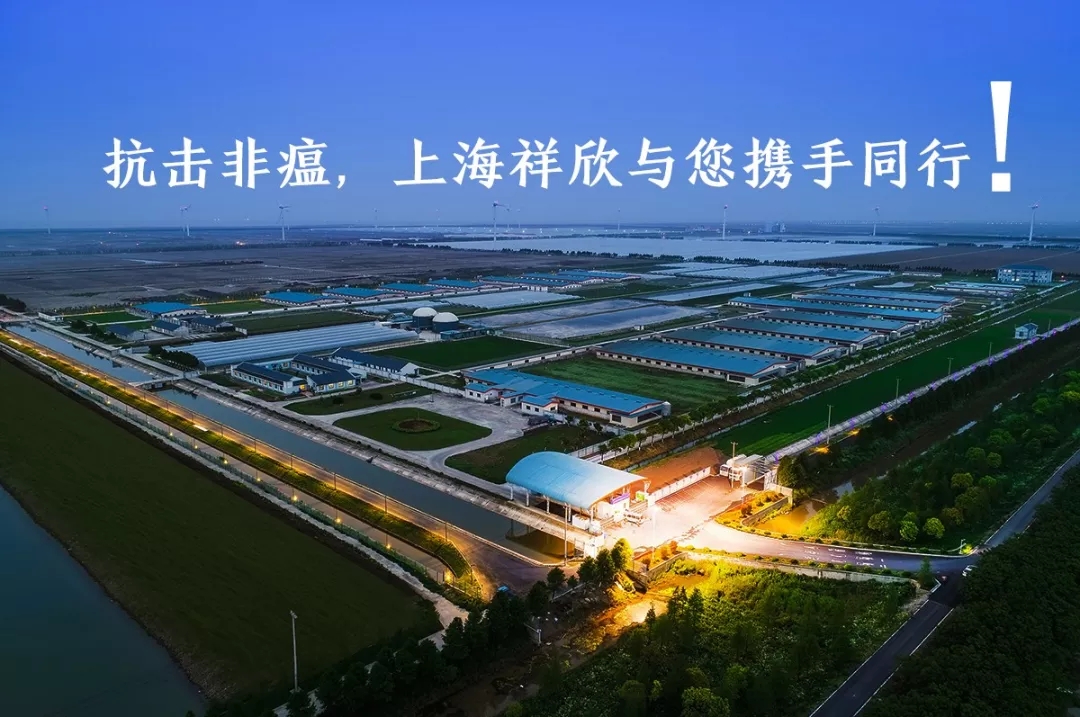 1632363335209966.jpg 1632363335209966.jpg