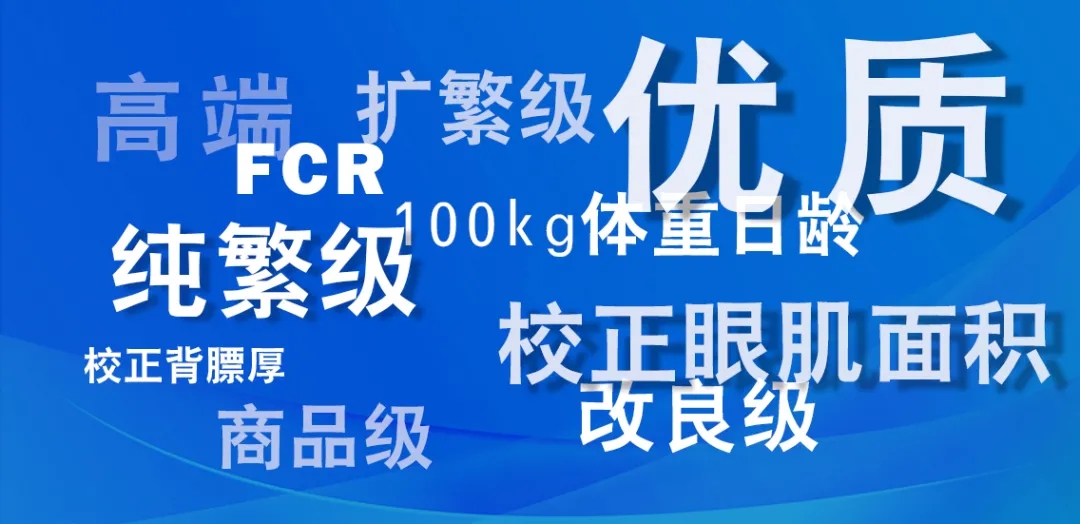 1632428038160182.jpg 1632428038160182.jpg