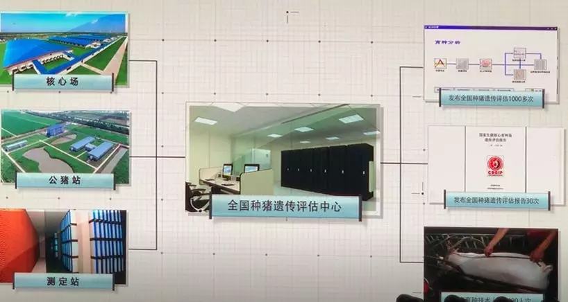 1632431016298649.jpg 1632431016298649.jpg