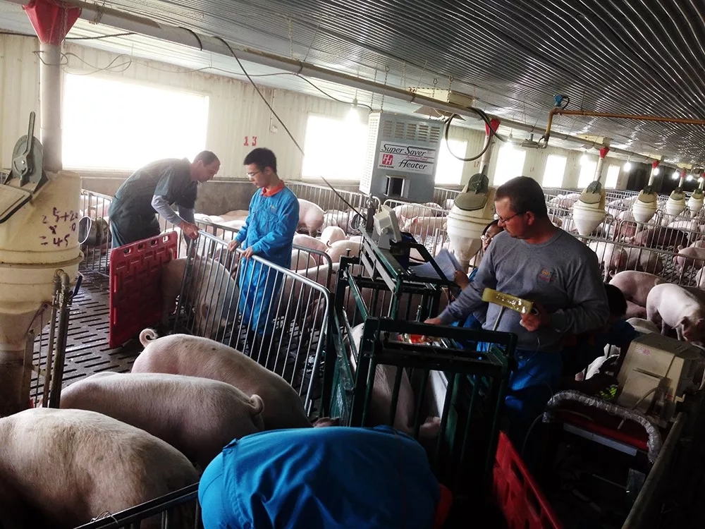 1632431080634716.jpg 1632431080634716.jpg