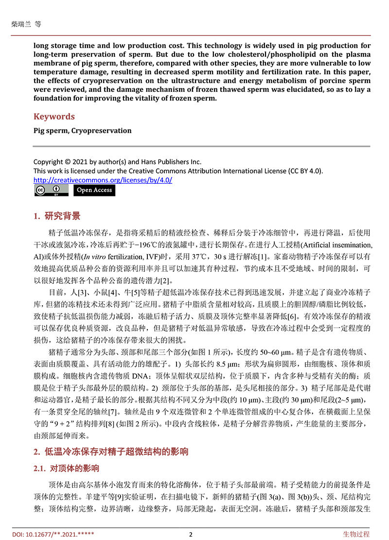 低溫冷凍保存對豬精子的影響-2.jpg
