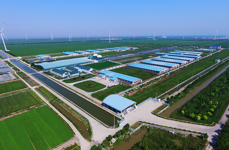 1632962654223690.jpg 1-公司生產基地.jpg