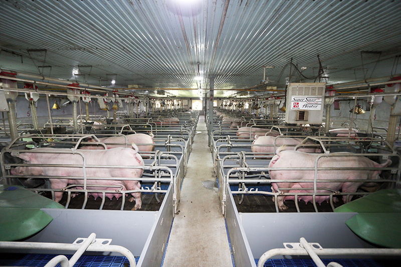 1632962939822028.jpg 分娩舍.jpg