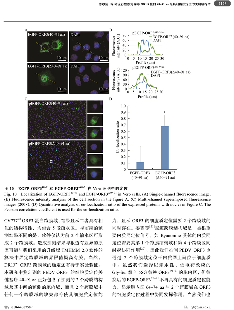 18、豬流行性腹瀉病毒ORF3蛋白-11.jpg