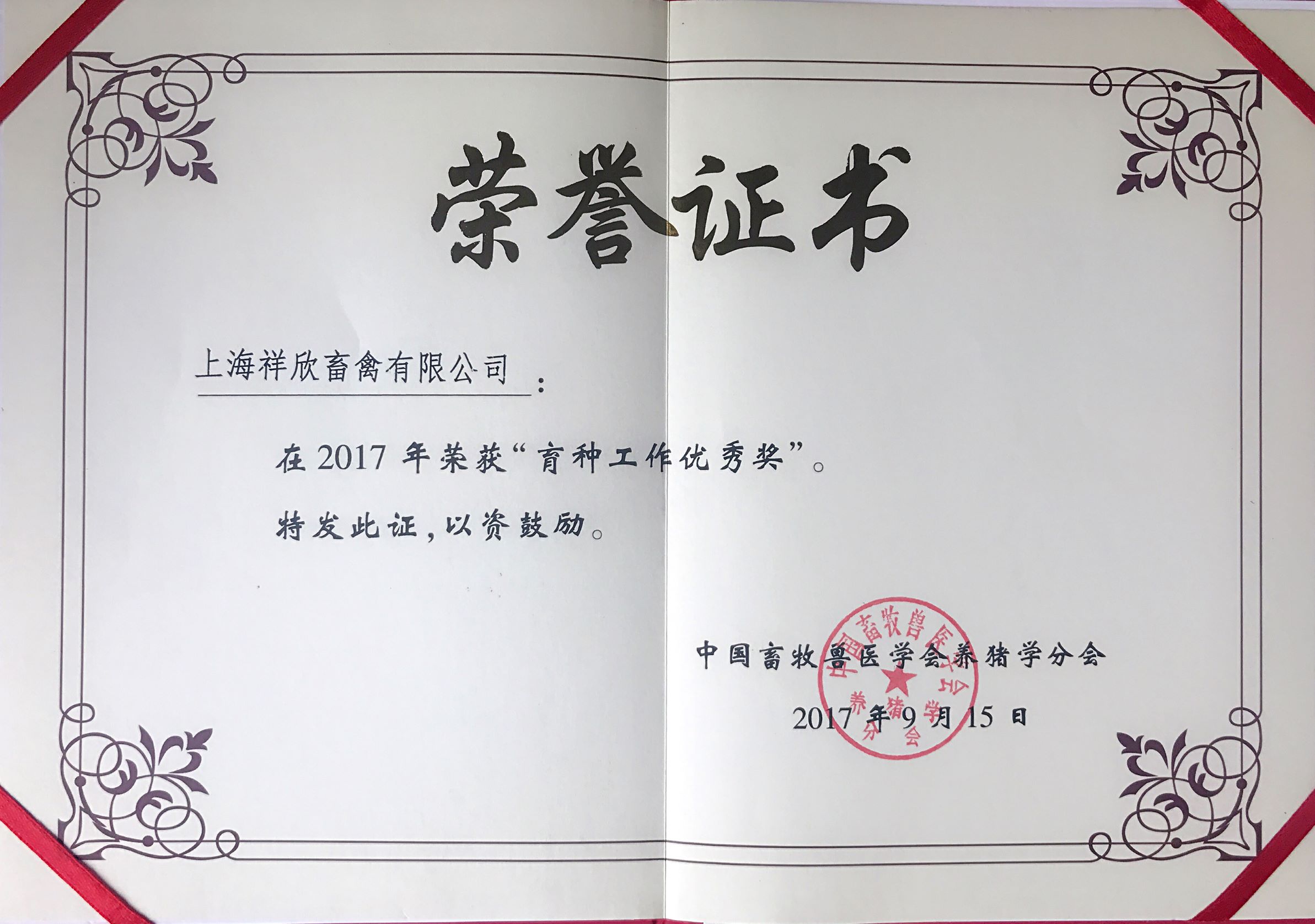 1635411234955700.jpg 1635411234955700.jpg