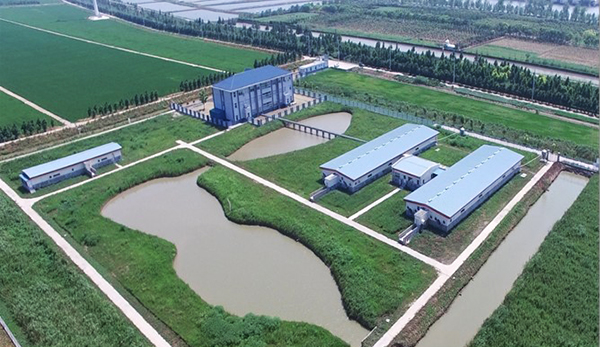 1635411467790014.jpg 1635411467790014.jpg