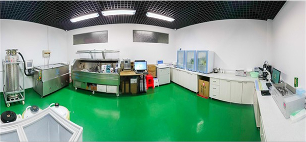 1635411486497950.jpg 1635411486497950.jpg