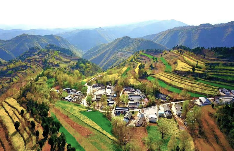 1635730415923449.jpg 1635730415923449.jpg