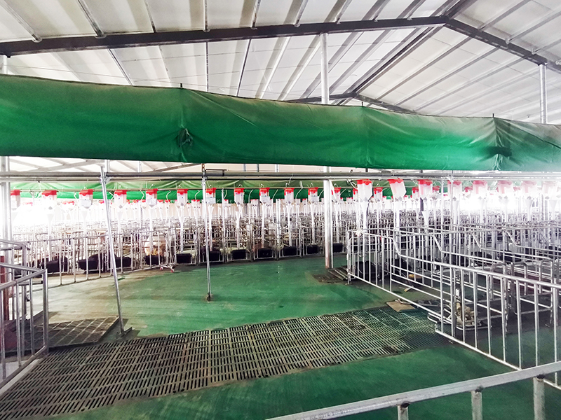 1637718546863378.jpg 1637718546863378.jpg