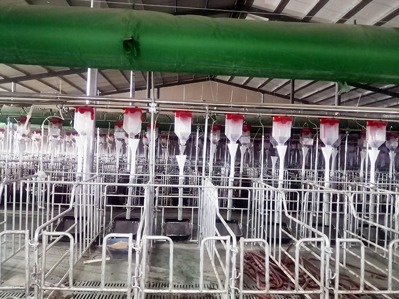 1637718557939938.jpg 1637718557939938.jpg