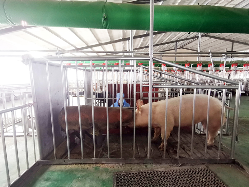 1637718593729995.jpg 1637718593729995.jpg