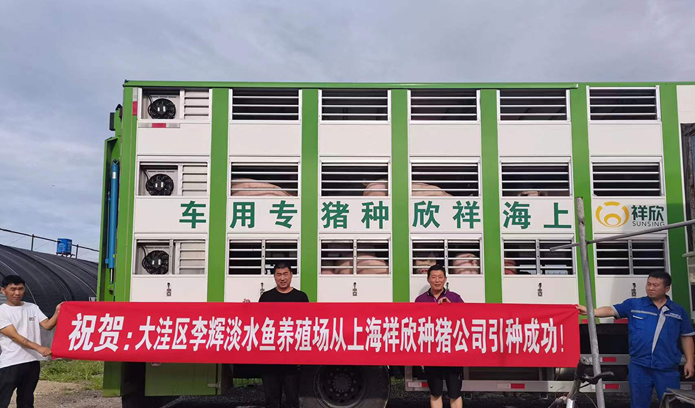 1639983045326722.jpg 1639983045326722.jpg