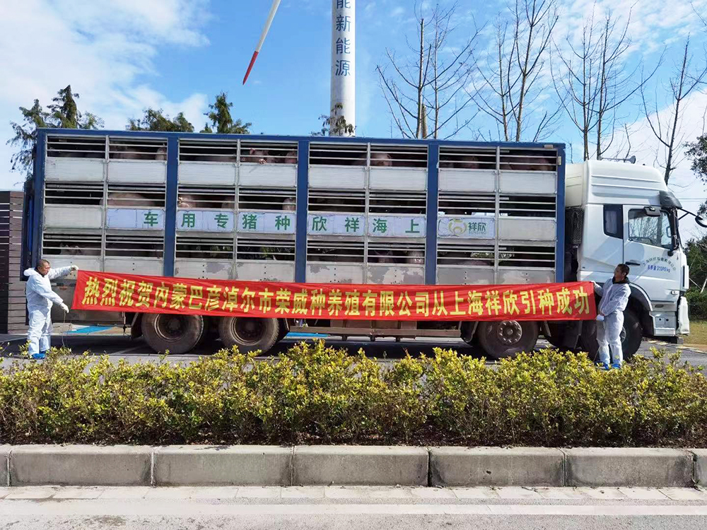 1639983068331336.jpg 1639983068331336.jpg