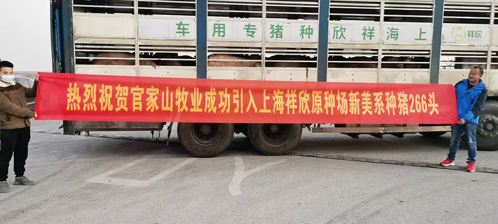 1639983074573790.jpg 1639983074573790.jpg