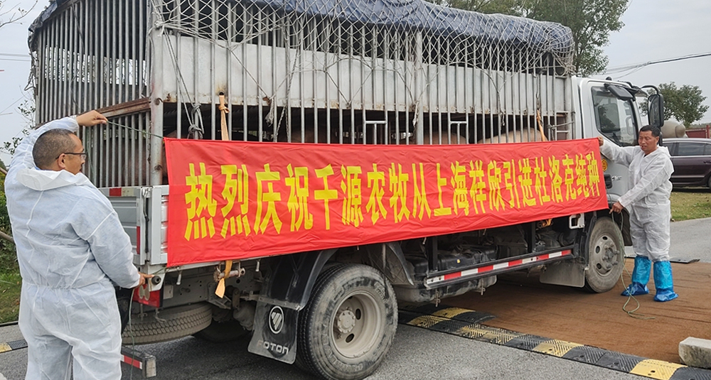 1639983081551561.jpg 1639983081551561.jpg