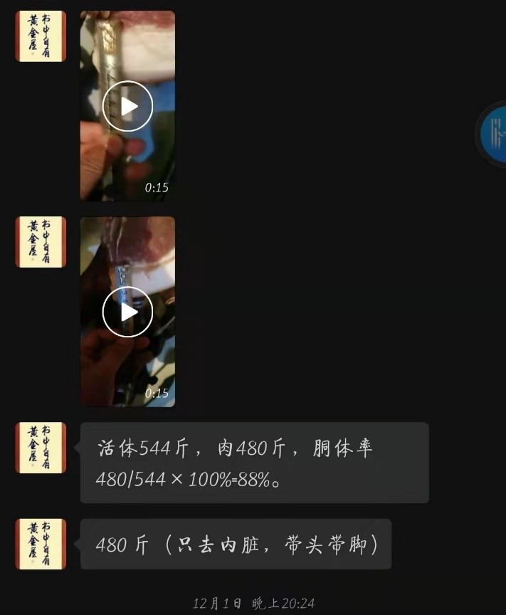 1639983790682646.jpg 1639983790682646.jpg