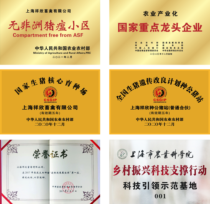 1639983829602669.png 1639983829602669.png