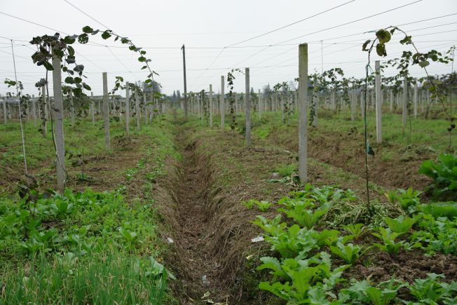 1640247898768481.jpg b3.jpg