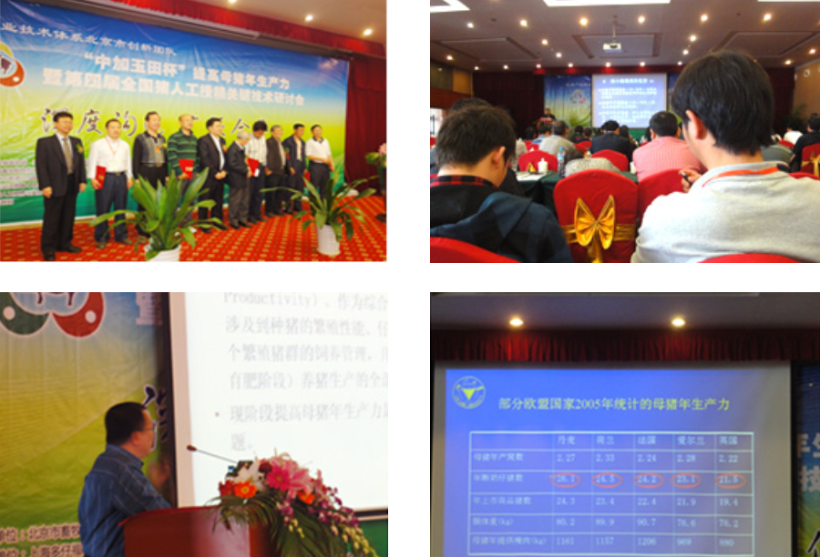 1640677375319679.png 1640677375319679.png