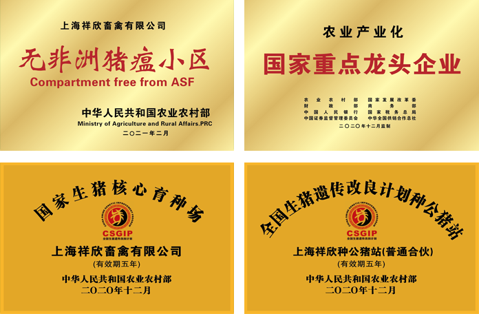 1647055270721187.png 1647055270721187.png