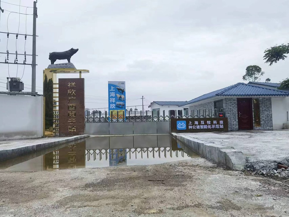 1725008768162463.jpg 一千2.jpg