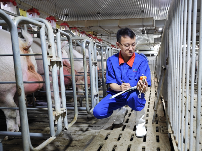 1734502430912056.png 圖片3.png