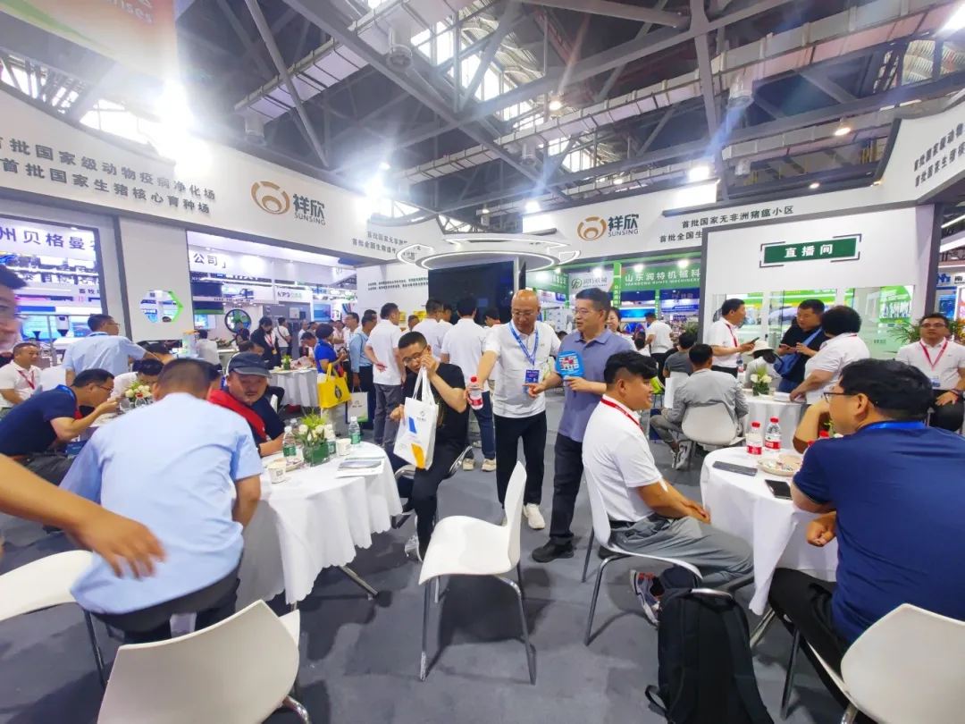 1734504479322181.jpg 1734504479322181.jpg